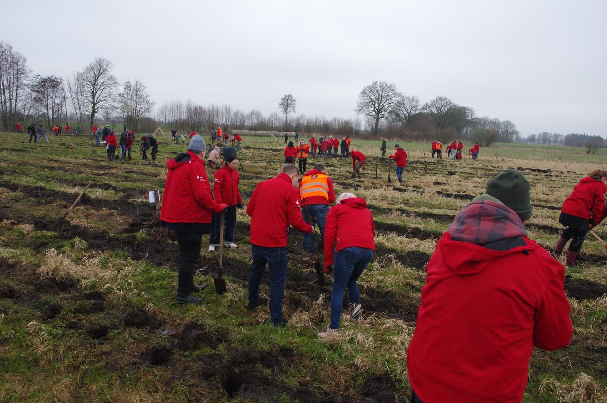 Über 200 eifrige Menschen pflanzen am Tag des Waldes in Bönebüttel mit